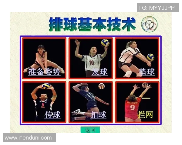 西安排球队的阵地战体系与排球战术的深度解析与应用探讨